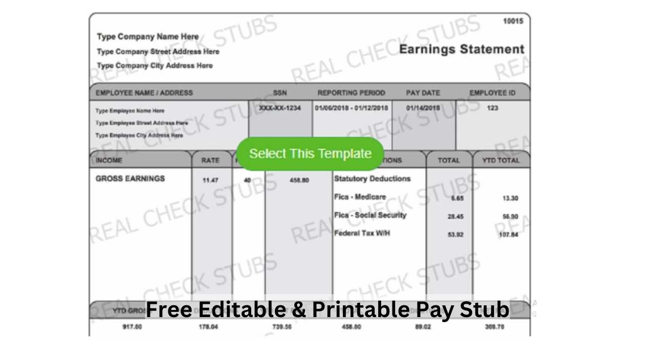 Free Editable & Printable Pay Stub